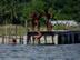 Kuna Indians throwing their friend in the ocean, San Blas islands, Panama.