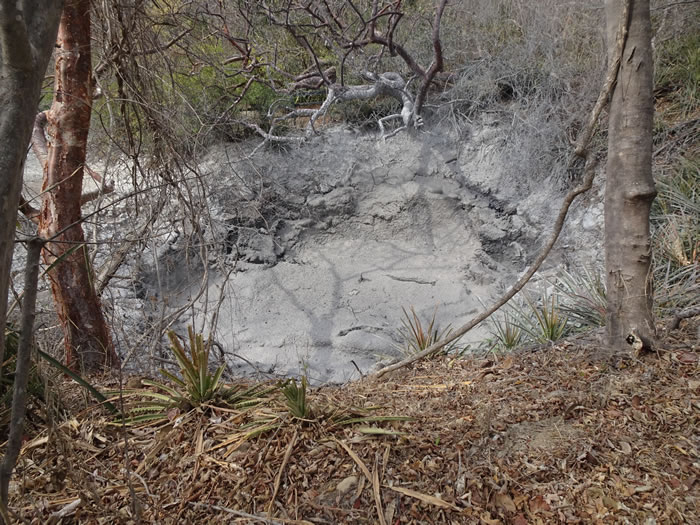Bubbling mud pool at Rincón de la Vieja National Park.