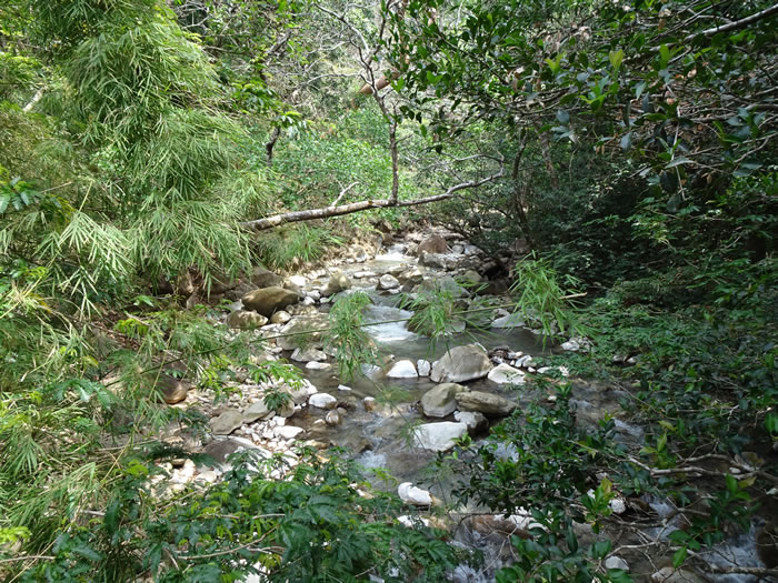 Rincón de la Vieja National Park.
