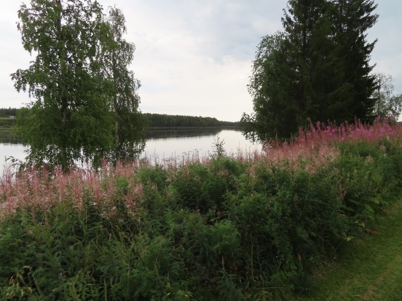 Torne River at Pajala campground in Pajala, Sweden.
