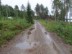 Road near Sanabadets campground in Sweden with puddles from very rainy night.