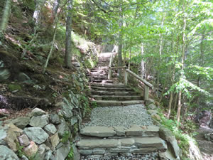 Trail down to base of Glen Ellis Falls in the White Mountains of New Hampshire.