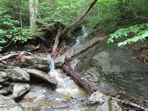 Photo from Long Trail on Mont Mansfield, Vermont.
