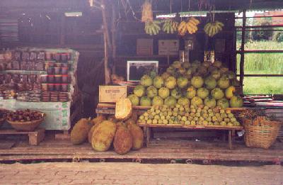 A fruit stand a little north of Bangkok, Thailand.
