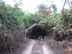 Road to Bahia Cacaluta.