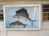 Fish display near Daytona Beach, FL