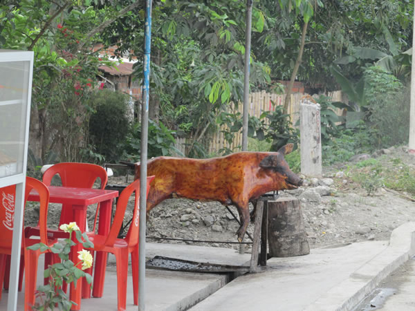 Cooked pig ready to eat at a restaurant near La Troncal, Ecuador.