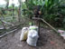 Bags of coffee at the coffee farm we visited near Minca, Colombia.