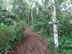 The trail Ted hiked on from Capurgana, Colombia to Sapzurro, Colombia – The trail had over 6 inches of mud.