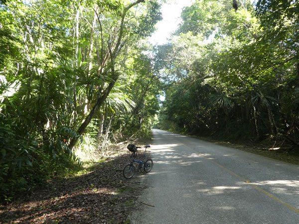 Ted’s bike on road to Tikal National Park, Guatemala.