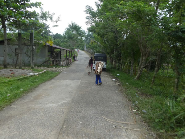 Man carrying wood (common sight) near Livingston, Guatemala.