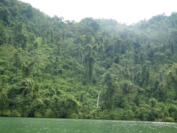 Traveling up the Rio Dulce between the town of Rio Dulce and Livingston, Guatemala.