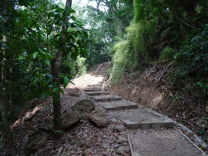 Trail at Rincón de la Vieja National Park.