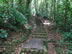 Trail at Monteverde Cloud Forest Reserve.