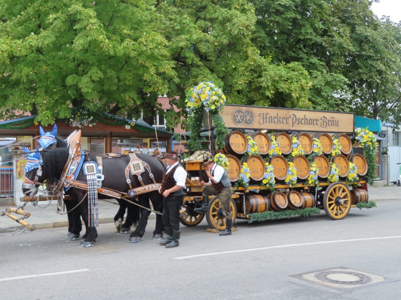 Horse drawn carriage at Oktoberfest in Munich, Germany.